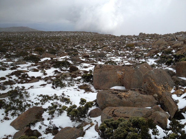 Snow on the top of Mount Wellington, Tasmania.
